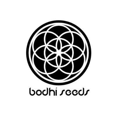 Bodhi Seeds